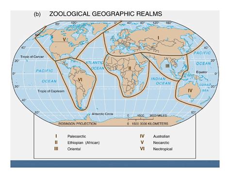 Biogeography