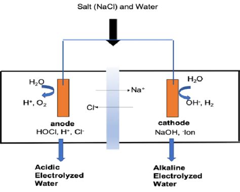 Schematic illustration of the production of electrolyzed water in a ...