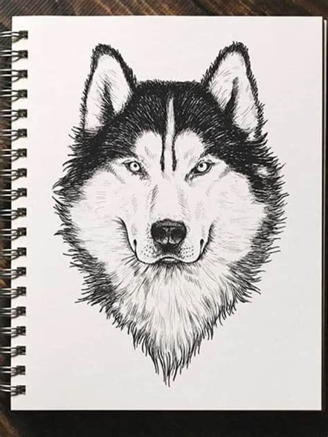 Wolf Head Drawing - A Step-By-Step Drawing Guide - Your DIY, Crafting ...