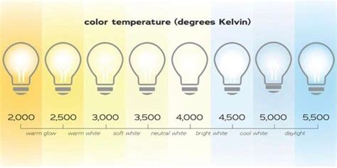 Top Ten Infographics Guides (March 8, 2020) | Color, Infographic, Light ...