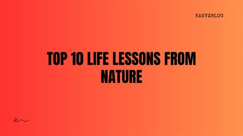 Top 10 Life Lessons from Nature. Nature is a remarkable teacher… | by KAEVZ | Medium