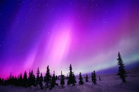 Guía práctica para ver auroras boreales - Imágenes - Taringa!