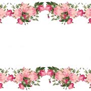 Flowers Borders PNG Transparent Images | PNG All