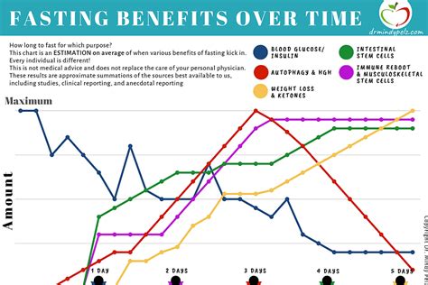 Fasting Chart - Dr. Mindy Pelz