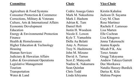 HAWAI'I HOUSE OF REPRESENTATIVES ANNOUNCES COMMITTEE CHAIRS AND VICE CHAIRS