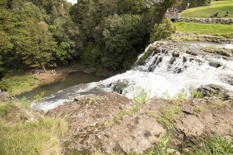 Whangarei Falls | Akvaristika i teraristika