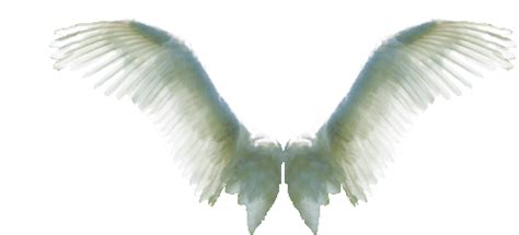 Angel Wings White Sticker - Angel Wings White Flying - Discover & Share GIFs