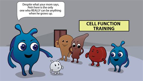 Cell Function Training - Scientific Animations