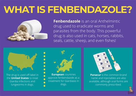 Your Complete Guide To Canine Deworming Using Fenbendazole | Bark For More