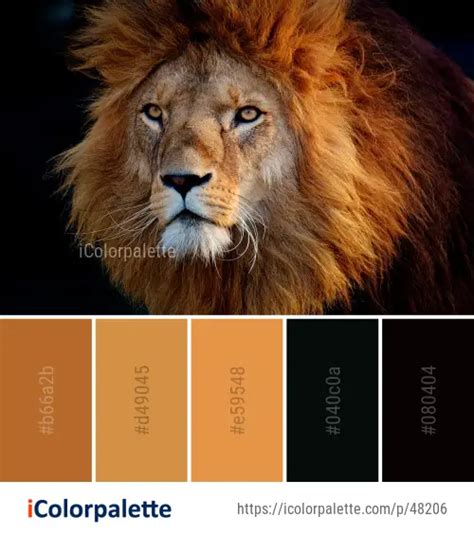 Color Palette Ideas from Wildlife Hair Lion Image | iColorpalette