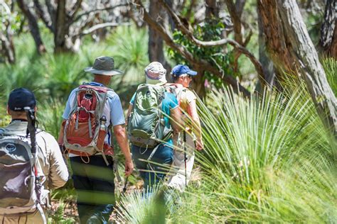 Twelve Apostles Signature Walk | Great Walks of Australia