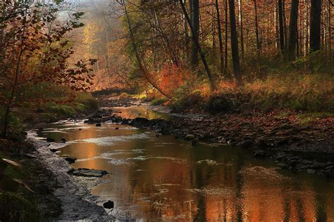 A Natural Chiaroscuro Photograph by Rob Blair | Fine Art America