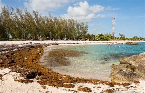 Fort Zachary Taylor Beach in Key West: 3 reviews and 81 photos