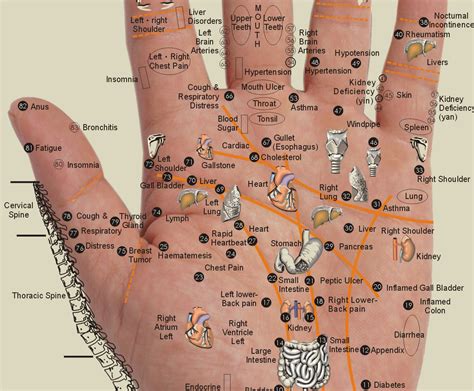 Healing Your Body Through Your Hands: Acupressure Points – EVERYTHiNG SOULFuL