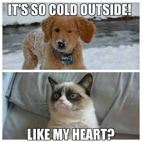 Cold like heart grumpy cat | Grumpy cat, Nerd memes, Cats