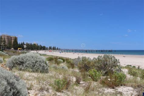 Glenelg Beach Near Adelaide in South Australia with Protected Dunes in Front Stock Image - Image ...