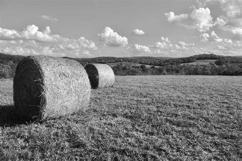 For Love of the Land #10: Farming Practices Old and New - Land & Legacy