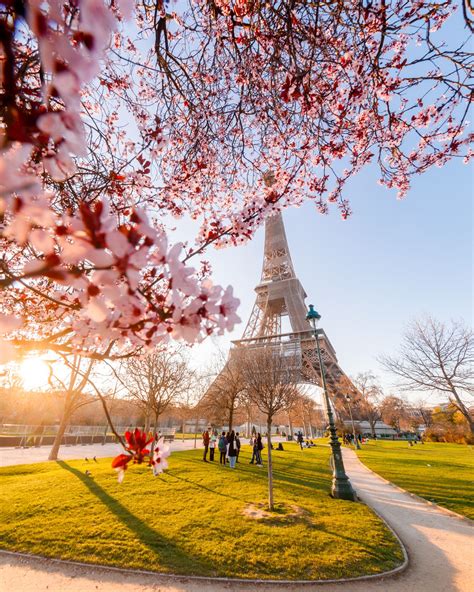 Eiffel Tower and Cherry blossom in Paris in March in early spring ! | Paris pictures, Beautiful ...