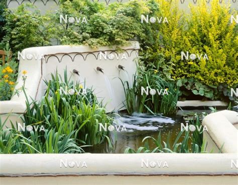 Fountain with aquatic plants and shrubs