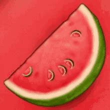 Melon GIFs | Tenor