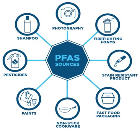 Forever Chemicals (PFAs) and America’s Polluted Water Sources - Rachel Carson Council