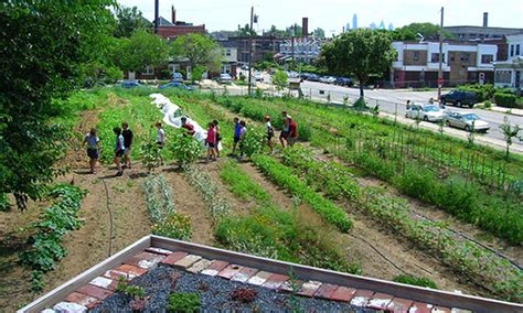 Urban Agriculture • Mogavero Architects