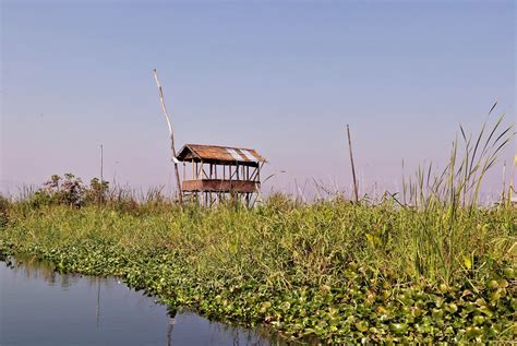 Stilts Inle Lake Floating Gardens - Free photo on Pixabay - Pixabay