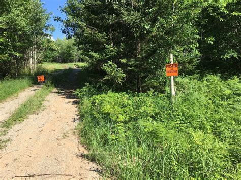 Huge Upper Peninsula mine OK'd despite major concerns