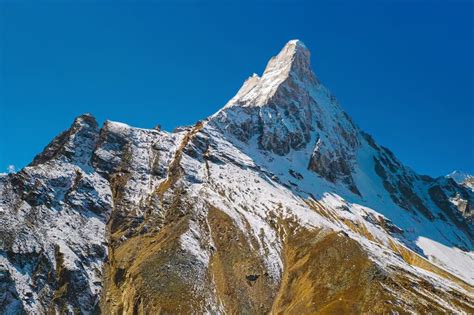 Gangotri National Park