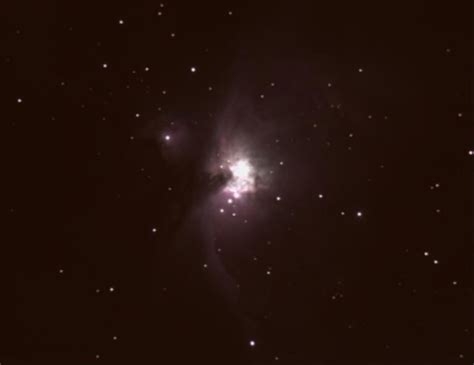 M42 - Orion Nebula | Astronomy Pictures at Orion Telescopes