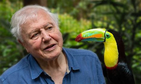 David Attenborough cracks 1 million followers on Instagram in world record time