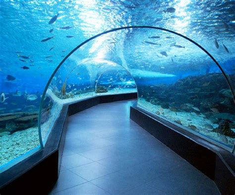 MANILA OCEAN PARK - 2023 All You Need to Know BEFORE You Go