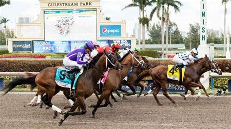 Gulfstream Park Pick 5 odds, predictions: Handicapping champion reveals ...