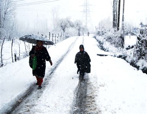 Season's First Snowfall in Kashmir