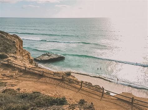 Torrey Pines Hiking Guide [BEST Trails & Tips For Visiting]