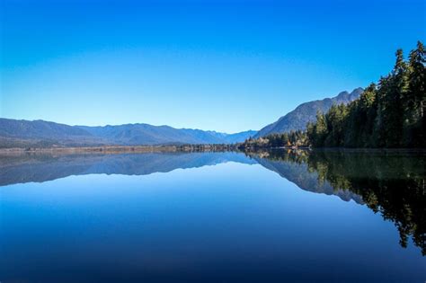 Explore Lake Quinault and the Quinault Rain Forest