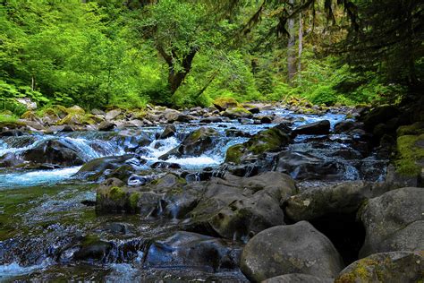 Sol Duc River Photograph by Brian Goodbar