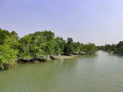 Durga Puja Holidays in Sundarban