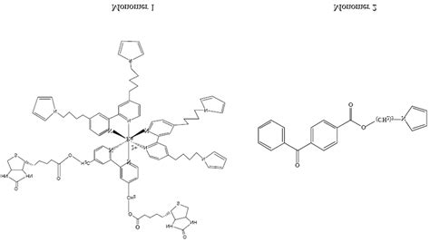 Structure of the monomers 1 and 2. | Download Scientific Diagram