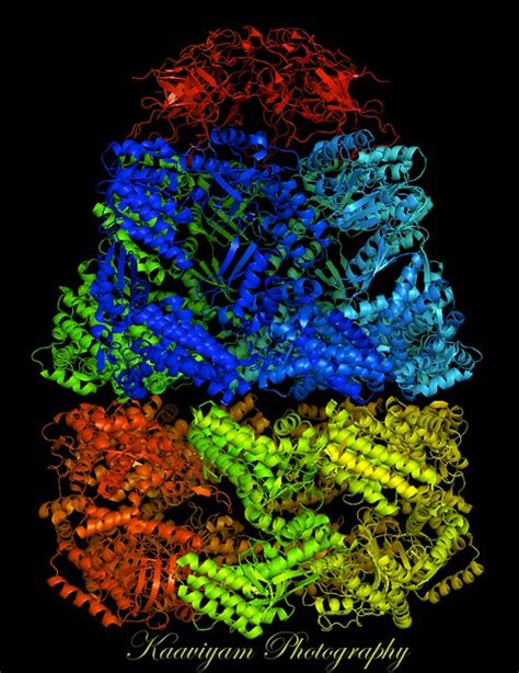 Chaperone Protein Complex - a photo on Flickriver