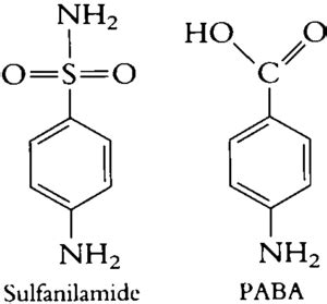 Sulfonamide - BioPharma Notes