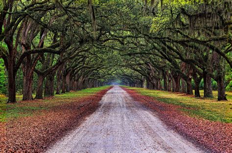 autumn, Road, Trees, Landscape Wallpapers HD / Desktop and Mobile Backgrounds