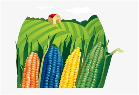 Agriculture Clipart Photo Image - corn-field-clipart - Classroom - Clip Art Library