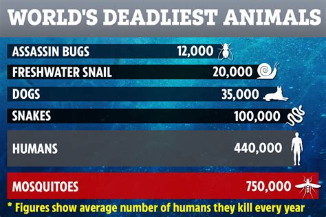 World's deadliest animals ranked by number of humans killed – and snails are number 5 on list ...