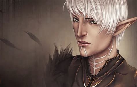 Wallpaper elf, Fenris, Fenris, warrior, art, feathers, stigma, Dragon ...