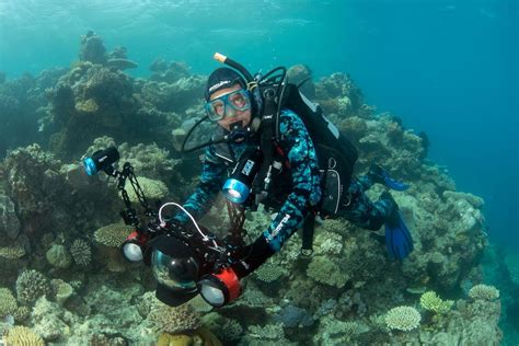 Museum of Underwater Art sculptures unveiled ahead of Great Barrier ...