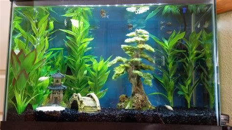 A GAMER'S WIFE: 4 Easy Setups for a 20-Gallon Aquarium