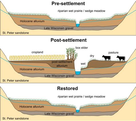 Floodplain And Levee Diagram