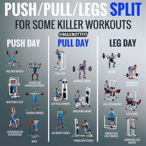 Push/Pull/Legs Weight Training Workout Schedule For 7 Days - GymGuider ...