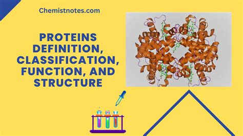 Protein: Definition, Structure, and Classification - Chemistry Notes